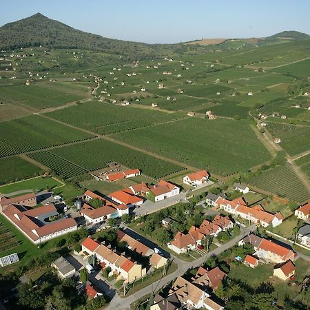Tiffán's Pincészet és Panzió Hotel Villány Szoba fotó