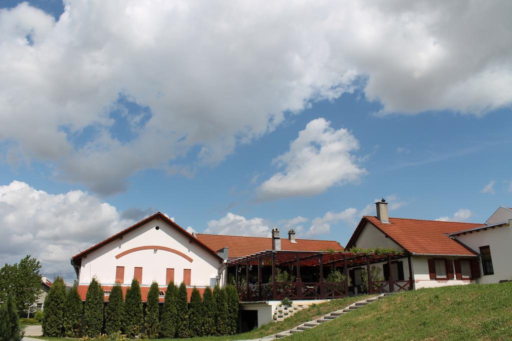 Tiffán's Pincészet és Panzió Hotel Villány Kültér fotó
